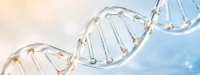 Borelioza IgG met. Immunoblot